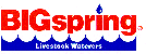 bigspring_logo